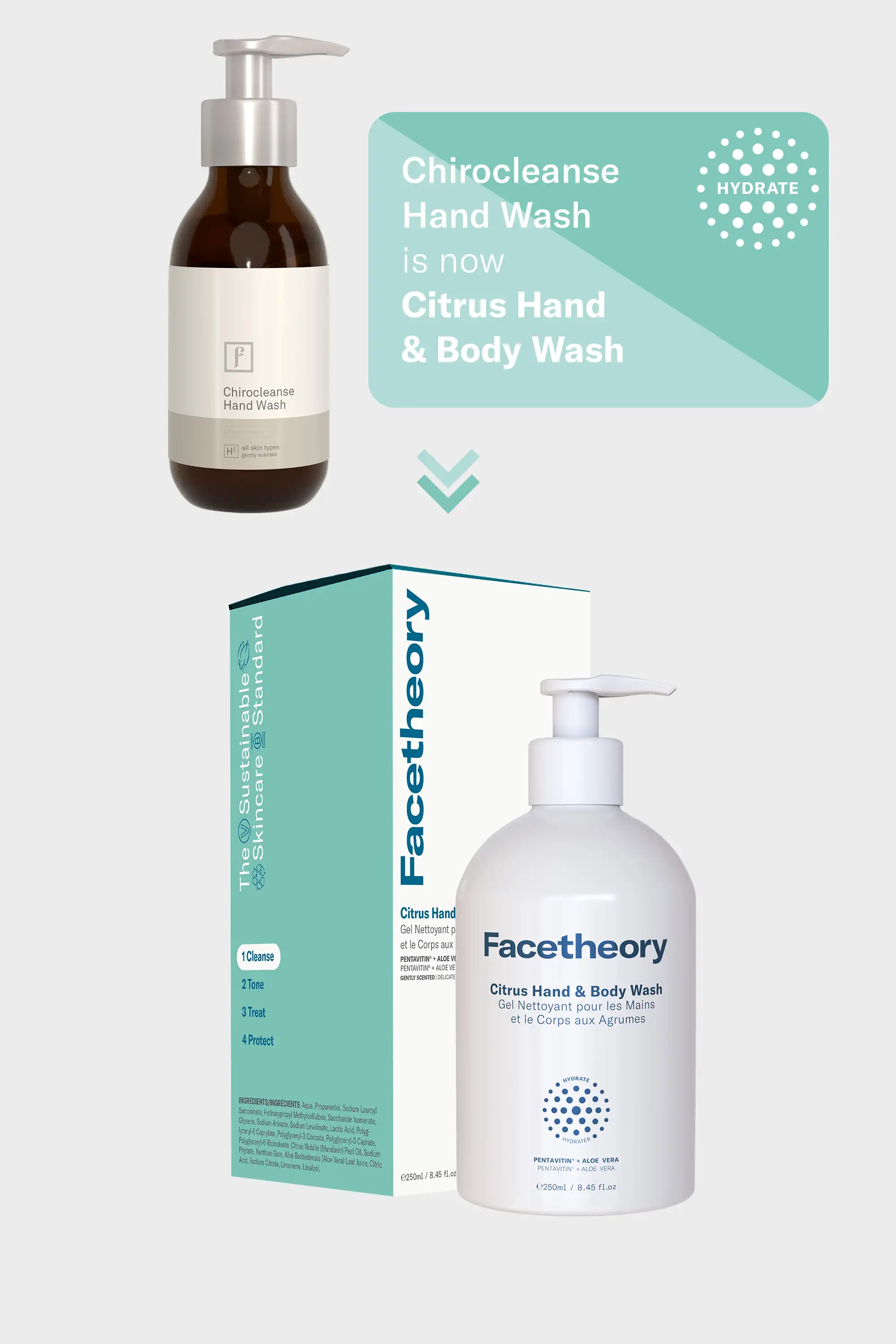 Citrus Hand and Body Wash - Image 3
